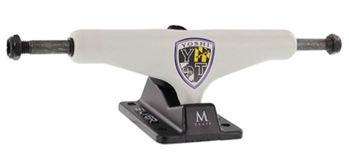 Silver Truck M Class Pro Yoshi Tanenbaum 8,25"